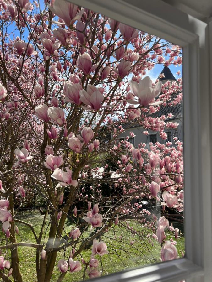 Casa vacanze Boutique Gaestehaus Guestel Krems an der Donau